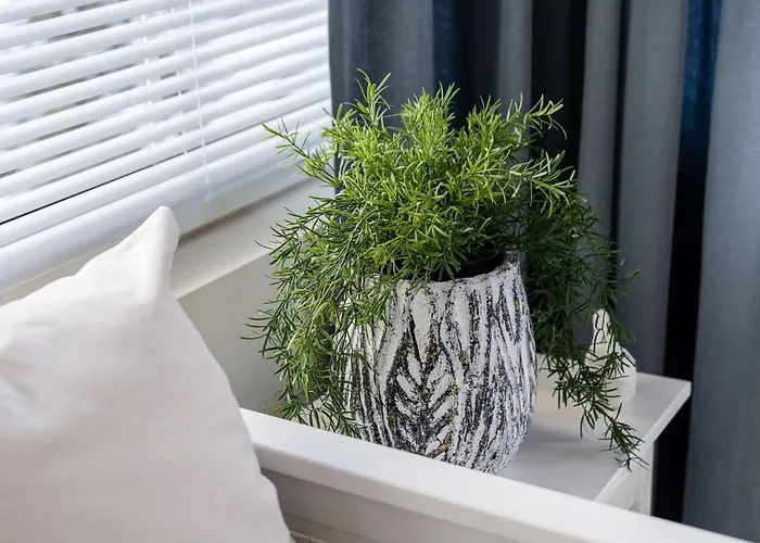 Apartmán Sanhaus - Toledo - Przytulne 3 Minuty Od Plazy *